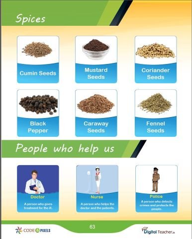 Spices which are used for flavoring with image examples